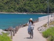Đảo nhỏ hoang sơ ở Nha Trang, điện 'chập chờn' nhưng cảnh đẹp như trong phim