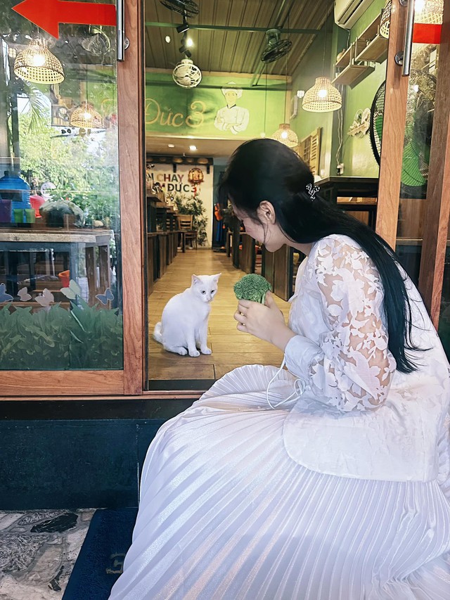 Có thể nói nếu không khoe cơ bắp với vóc dáng cơ bắp thì cuộc sống của Angela Phương Trinh rất bình lặng. Cô kín tiếng trong mọi chuyện và gần như "biến mất" khỏi Vbiz.