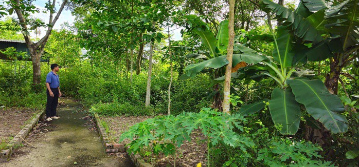Cũng theo ông Cần do mỗi năm chỉ vào dịp đầu xuân hoặc ngày 7-3 (âm lịch) – ngày giỗ danh nhân Hà Tông Mục, con cháu dòng tộc họ Hà mới trở về đền thờ Sùng Chỉ để dâng hương, dọn vệ sinh, nên khuôn viên đền thờ Sùng Chỉ trở nên nhếch nhác, cây cối mọc um tùm.