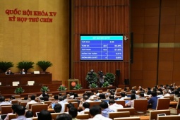Tư nhân được đảm nhiệm vị trí lãnh đạo, quản lý trong cơ quan Nhà nước