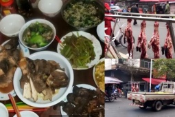 Loài cho thịt rẻ hơn rau, da lại  đắt hơn vàng 