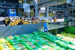 Doanh nghiệp phân bón ổn định giá bán dù nguyên liệu nhập khẩu tăng