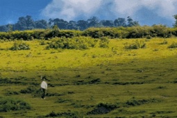 Du lịch - Cao nguyên cách Hà Nội 300km có biển mây, thác nước, khách rộn ràng reo vui