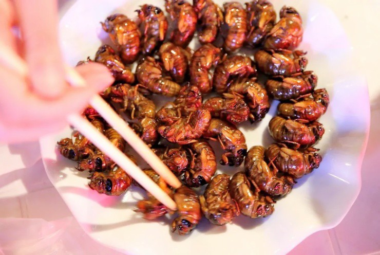 Ảnh: ZengChengJiaYuan