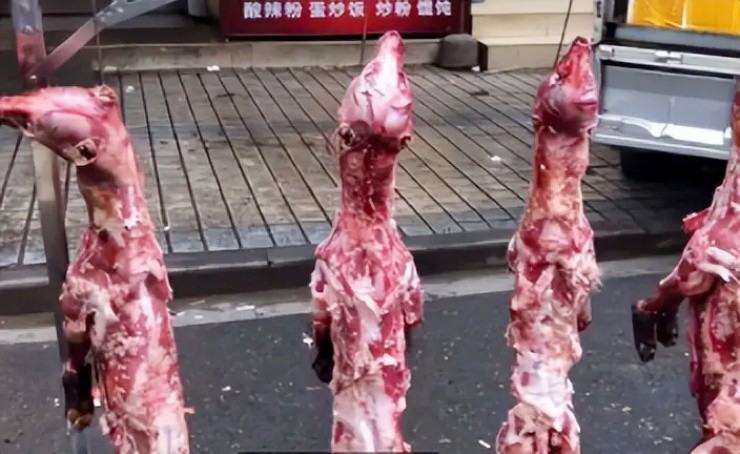 Loài cho thịt rẻ hơn rau, da lại “đắt hơn vàng” - 2