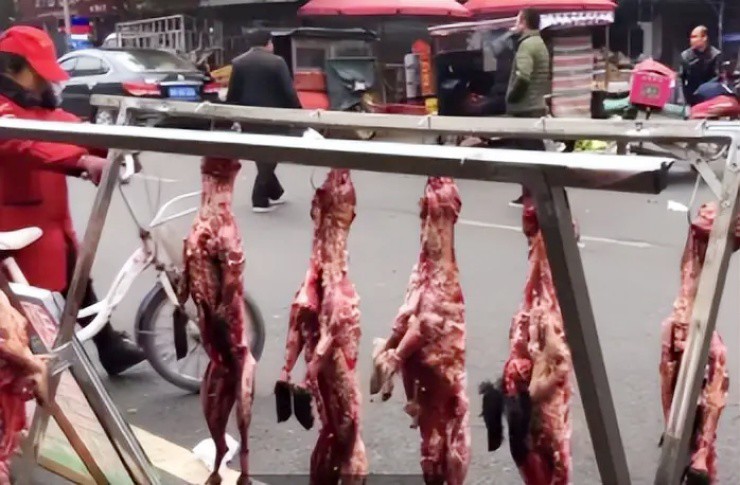 Loài cho thịt rẻ hơn rau, da lại “đắt hơn vàng” - 1