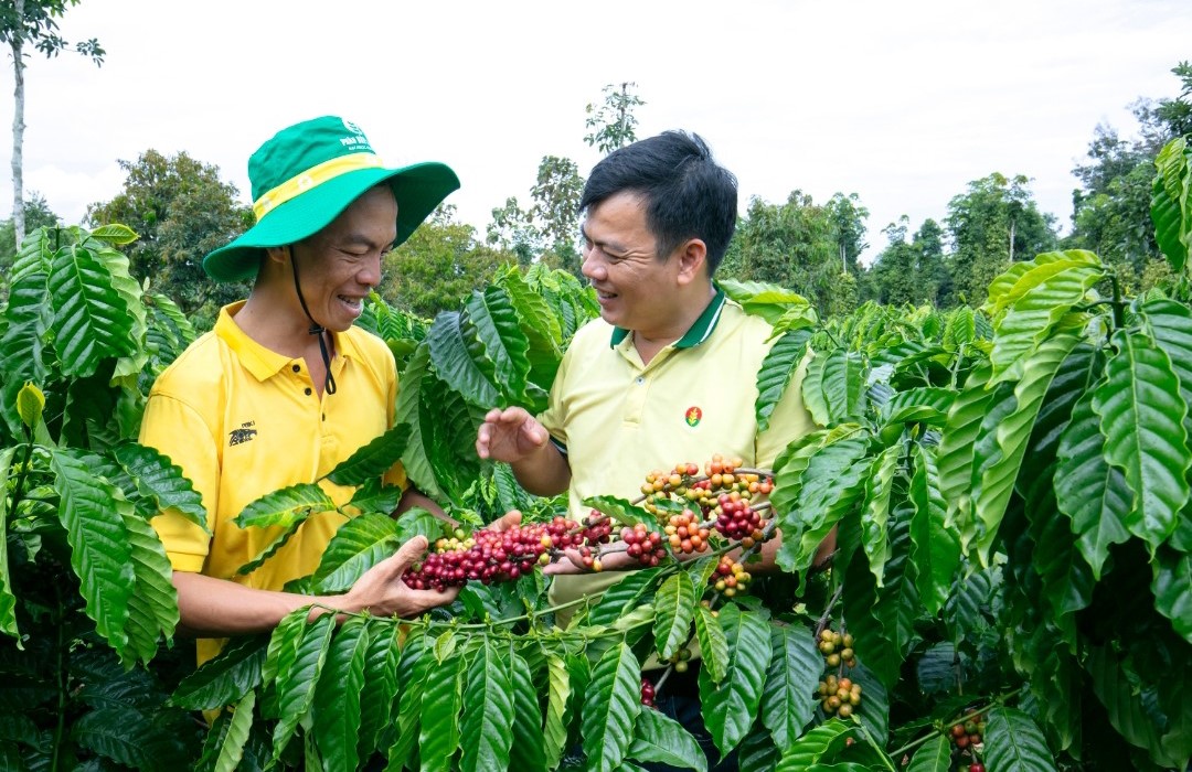 PVCFC nỗ lực triển khai các hoạt động xúc tiến bán hàng, chính sách hậu mãi, quyền lợi sau bán hàng, từ đó góp phần chia sẻ áp lực chi phí với người nông dân.