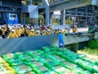 Doanh nghiệp phân bón ổn định giá bán dù nguyên liệu nhập khẩu tăng