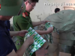 Xử lý gần 11.000 vụ hàng giả trong tháng cao điểm