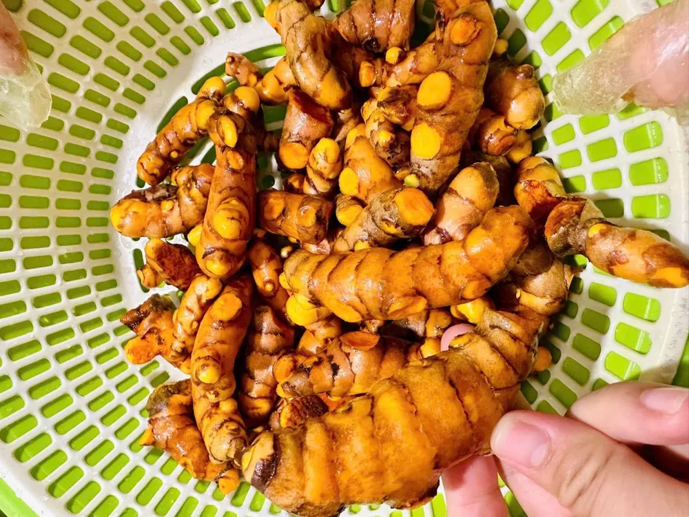 Nghệ chứa chất curcumin mạnh mẽ và đối với sức khỏe nam giới, nghệ mang lại nhiều lợi ích đáng chú ý từ việc giảm viêm đến hỗ trợ chức năng tuyến tiền liệt. Ảnh: PHƯƠNG LÊ.