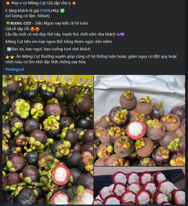 Tại chợ mạng, măng cụt được rao bán chỉ từ 25.000 đồng/kg, càng lấy nhiều giá càng ưu đãi.