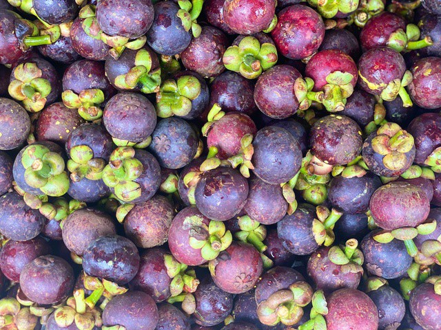 Măng cụt thường vào mùa từ tháng 5 đến tháng 7 hàng năm.