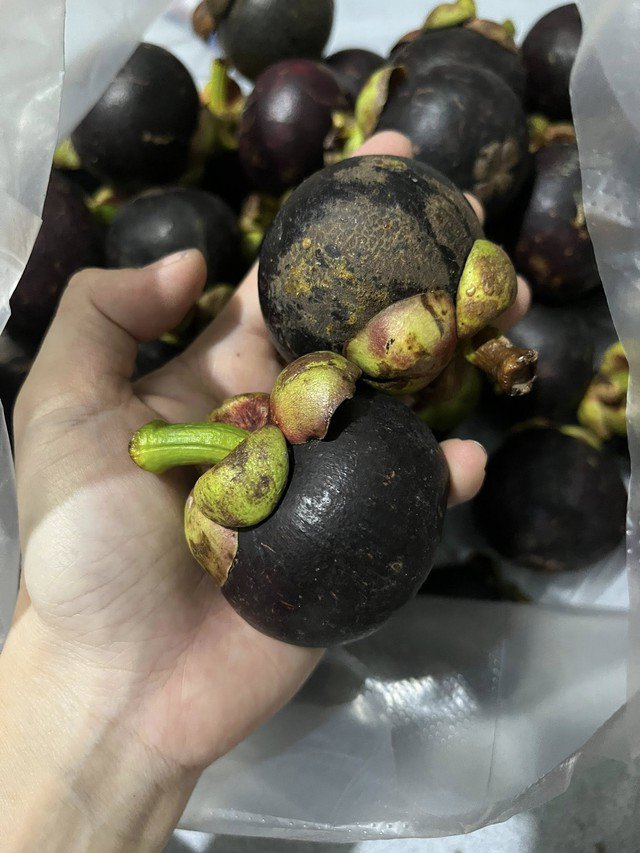 Người tiêu dùng nên lựa chọn những nơi uy tín để mua hàng tươi ngon.