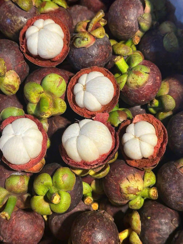 Măng cụt có hương vị chua ngọt đặc trưng, được yêu thích không chỉ bởi hương vị mà còn bởi các lợi ích dinh dưỡng và sức khỏe mà nó mang lại.