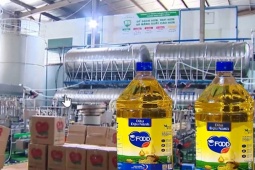 Những  ông trùm  đứng sau đường dây sản xuất dầu ăn cho người từ thức ăn chăn nuôi tại Hưng Yên