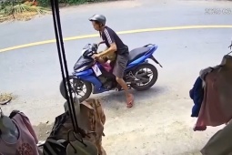 Clip:  " Dở khóc dở cười "  thanh niên trộm sầu riêng bất thành do xe máy phản chủ
