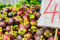 Măng cụt vào mùa giá  " siêu hời " , tiểu thương chia sẻ cách loại bỏ quả hỏng, tránh lãng phí