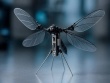 Trung Quốc phát triển UAV kích thước nhỏ như muỗi