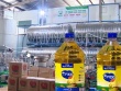 Những “ông trùm” đứng sau đường dây sản xuất dầu ăn cho người từ thức ăn chăn nuôi tại Hưng Yên