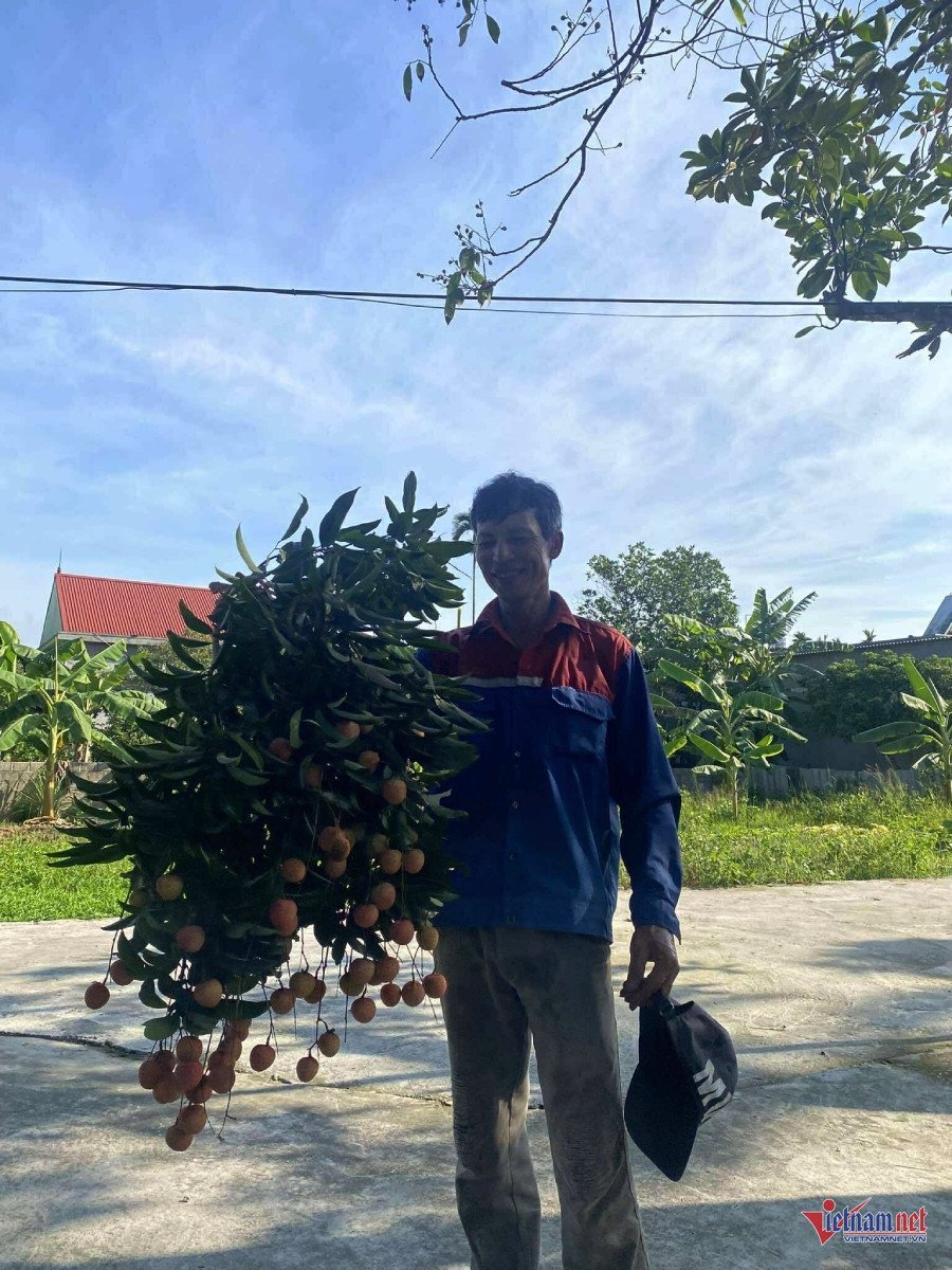 Chàng trai Hải Phòng tuốt lá, bó vải thuê, tiết lộ thu nhập hấp dẫn - 1