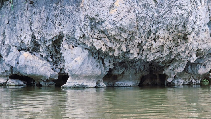 &#39;Vịnh không sóng&#39; ở Ninh Bình đẹp hoang sơ, có loài quý hiếm bậc nhất thế giới - 6