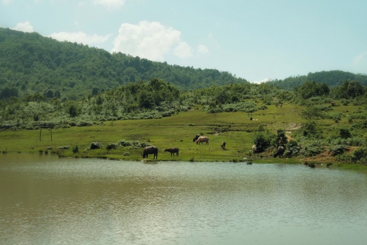 Khung cảnh an nhiên, tự tại.
