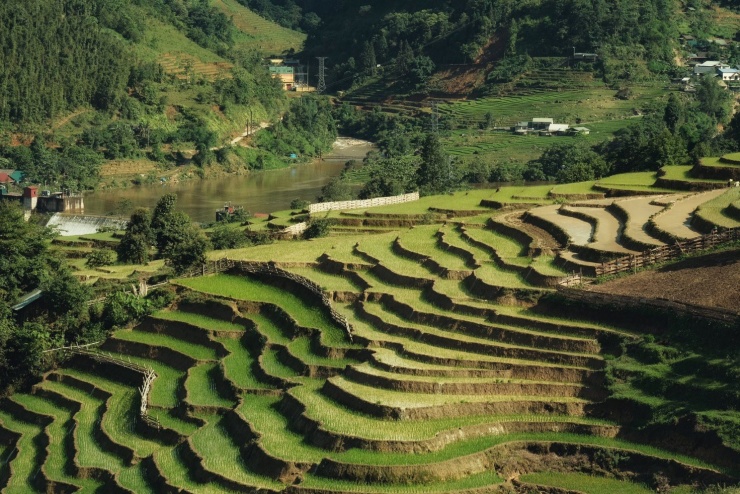 Ngắm nhìn vẻ đẹp Y Tý.