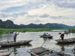 'Vịnh không sóng' ở Ninh Bình đẹp hoang sơ, có loài quý hiếm bậc nhất thế giới