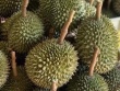 Xuất khẩu sầu riêng lao dốc, hàng nhập khẩu lại tăng tới hơn 500%