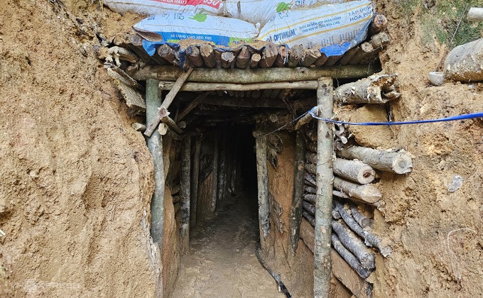 Hầm vàng được đào trong cánh rừng sản xuất dầu rái của người dân ở thôn 1, xã Ninh Phước, huyện Quế Sơn. Ảnh: Đắc Thành