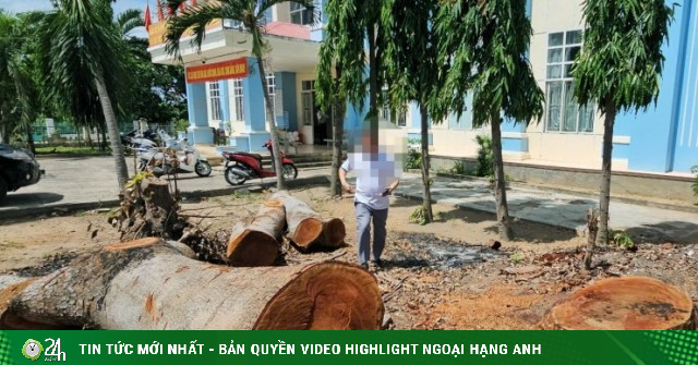 www.24h.com.vn