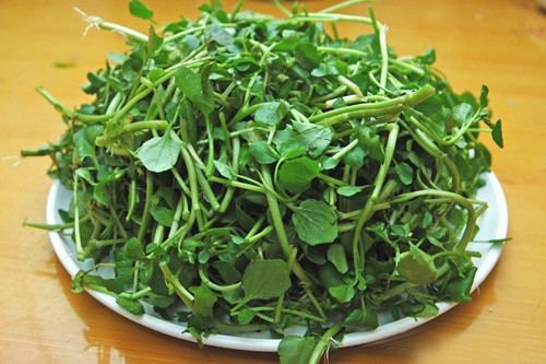 4 loại rau tốt nhất, giúp ngăn ngừa ung thư - 4