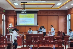 Mỏ cát ở Quảng Nam khởi điểm 1,8 tỉ đồng, đấu giá 138 tỉ đồng