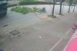 Clip: Cây rơi bất ngờ khiến người đi xe máy ngã sõng soài suýt bị xe buýt cán