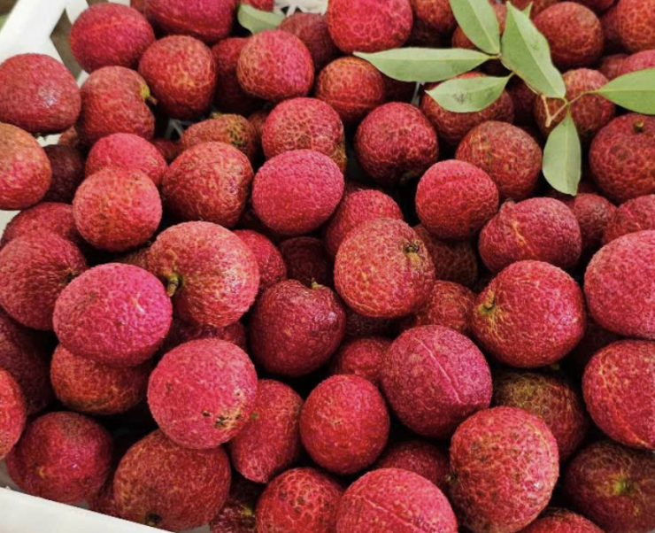 Nhiều cửa hàng trái cây phải từ chối bớt đơn khách đặt do cầu vượt quá cung. Ảnh: NVCC