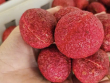 Một loại vải đặc biệt ở Thanh Hoá giá 600.000 đồng/kg