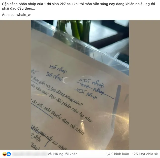 Nhiều thí sinh "than trời" vì viết sai chính tả từ này trong bài thi Văn tốt nghiệp THPT - 3