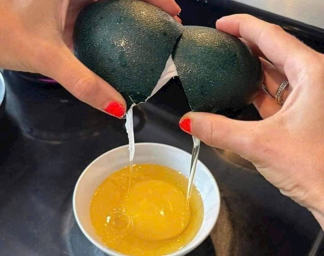 Trứng đà điểu Úc giá từ vài trăm nghìn đến cả triệu đồng một quả. Ảnh: MXH. Ảnh: Cô Tư Linh.