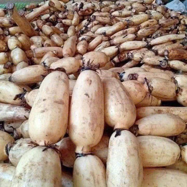 Củ sen được bán nhiều trong ngày hè. Ảnh HM