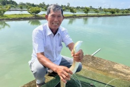 Làm liều nuôi loài cá  lạ , lão nông Cà Mau thu về hàng tỷ đồng mỗi năm