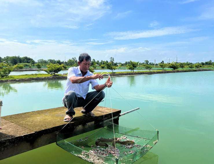 Liều lĩnh nuôi loại cá lạ, ông Ánh đã đút túi tiền tỷ mỗi năm.