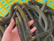 Loại cá "nhà nghèo" nay hóa mỏ tiền, phơi khô bán 700.000 đồng/kg thành đặc sản nổi tiếng