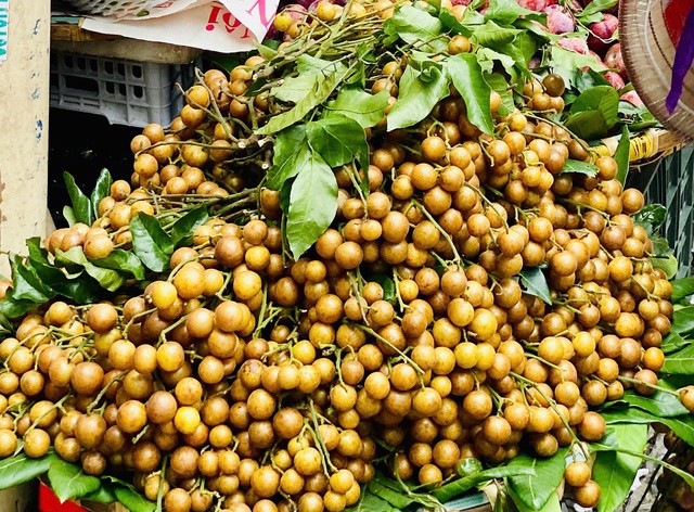 Quất hồng bì là một trong những thức quả được nhiều người tiêu dùng ưa chuộng.