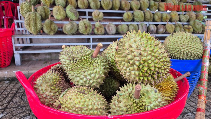 Sầu riêng được bán lẻ tại Lâm Đồng