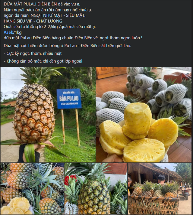 Dứa mật có giá bán cao hơn so với các loại dứa thông thương nhưng vẫn được người tiêu dùng ưa chuộng.