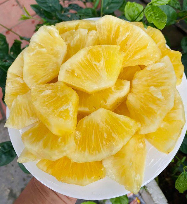Dứa mật được đánh giá cao về chất lượng, hương vị và được người tiêu dùng ưa chuộng.