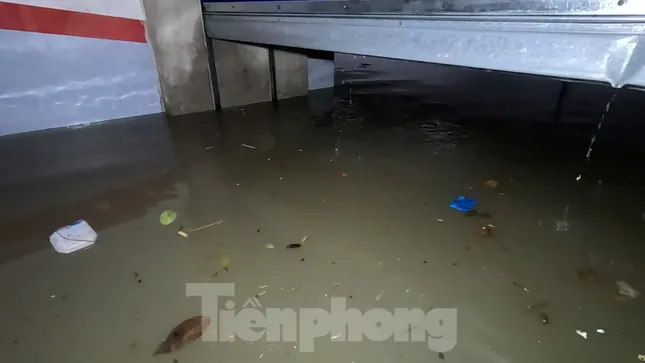 Sau một hồi loay hoay tìm cách, cánh cửa ngăn xuống tầng hầm số một mở ra được một đoạn rồi lại mắc kẹt.