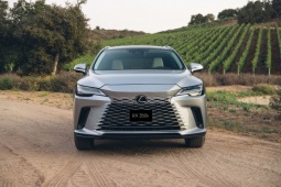 Lexus RX bổ sung hai phiên bản Hybrid mới, thêm lựa chọn xanh cho khách hàng Việt