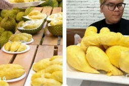 Buffet sầu riêng 199.000 đồng ăn trong 1 giờ  " gây bão "  mạng xã hội