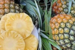 Xuất hiện loại dứa lạ trên thị trường, thơm ngon như mật được chị em đua nhau săn đón